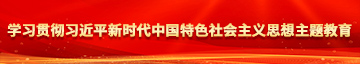 大黑鸡巴日屄抽插叫喊内射HD学习贯彻习近平新时代中国特色社会主义思想主题教育